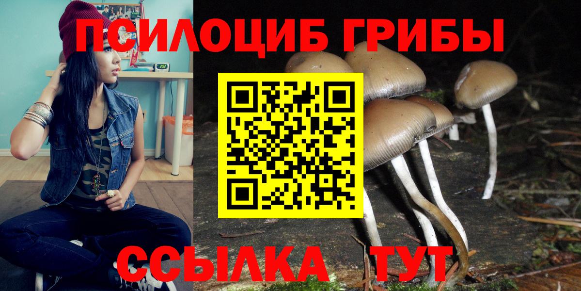 Галлюциногенные грибы ЛСД Новосибирск