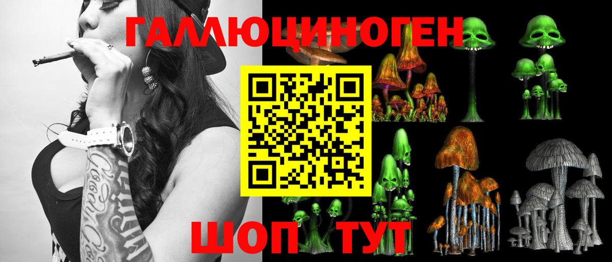 Новосибирск  Галлюциногенные грибы GOLDEN TEACHER  Псилоцибиновые грибы GOLDEN TEACHER  Вход с VPN 